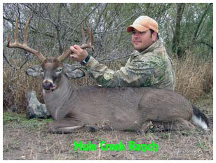 Management Deer Image01