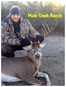 Management Deer Image03