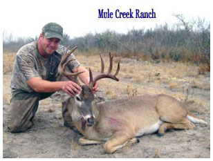 Management Deer Image04