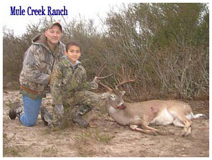 Management Deer Image05