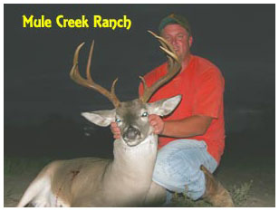 Management Deer Image06