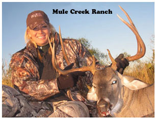 Management Deer Image02