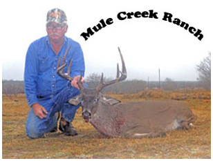 Management Deer Image20
