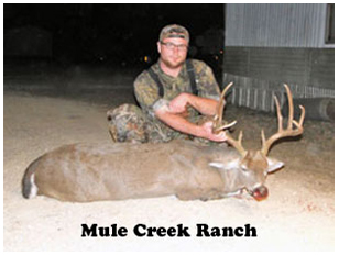 Management Deer Image21