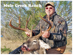 Management Deer Image22