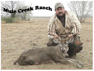 Management Deer Image24