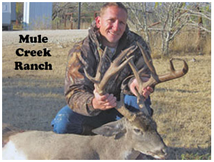 Management Deer Image25
