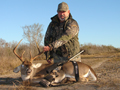 nice-management-successful-buck