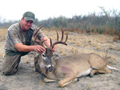 another-successful-management-deer