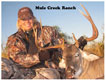 nice-management-successful-buck