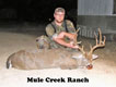 nice-management-successful-buck
