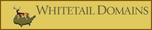 whitetaildomains