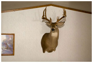 ranch facilities photo