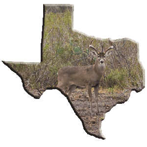 mule-creek-ranch-photo