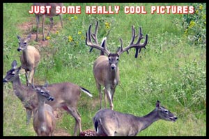 2021 Management photos