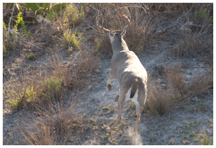 2021 Management photos