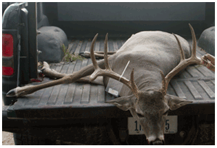 2021 Management photos