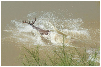 2021 Management photos