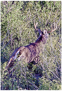 2021 Management photos