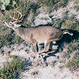 2014 helicopter-photos