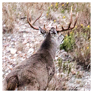 2021 Management photos