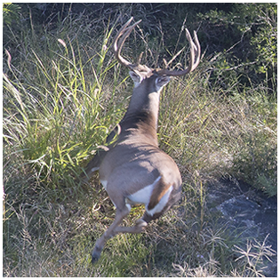 2021 Management photos